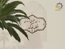 بررسی محتوایی و سندی خطبه فدک