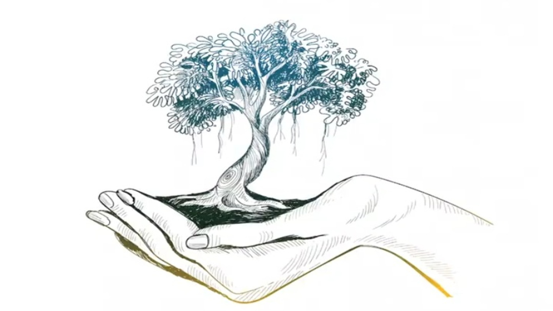 رنگ خدا و معنای زندگی